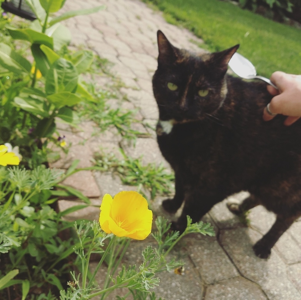 Meet your Posher, Nikki